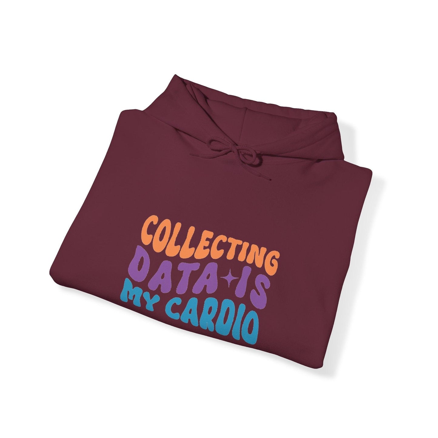 Data Enthusiast's Cozy Hooded Sweatshirt - Soft Blend with Style - AnalyticsMerch.Com