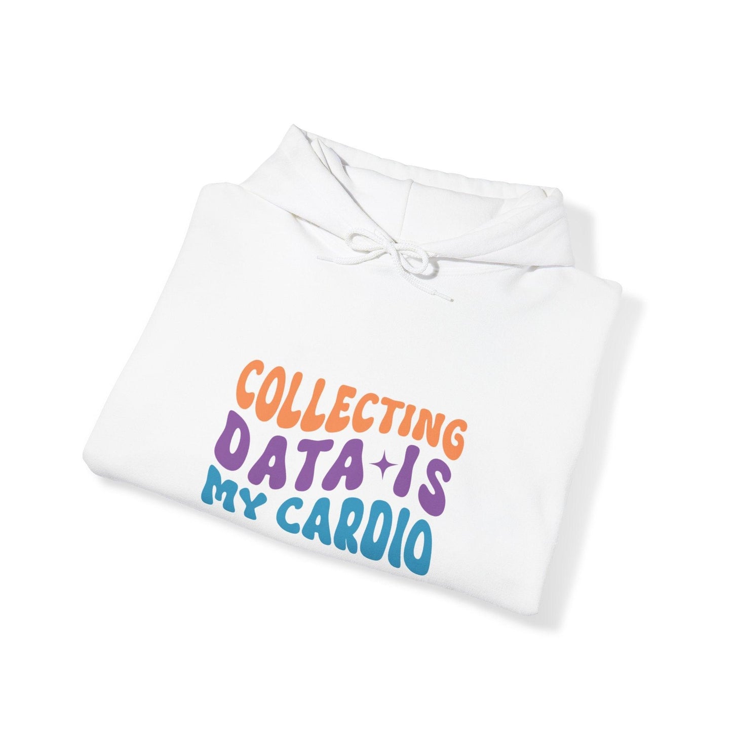 Data Enthusiast's Cozy Hooded Sweatshirt - Soft Blend with Style - AnalyticsMerch.Com